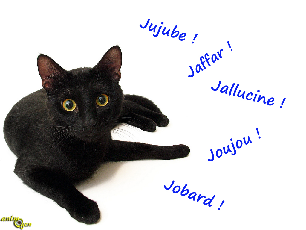 Liste De Noms De Chats